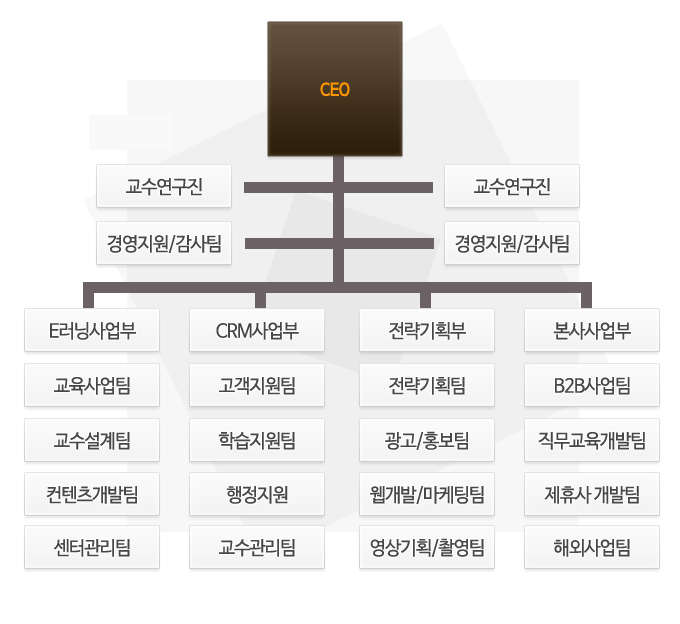 CEO 김기섭 - 이사회 - 교육연구소 - LMS개발팀 - 이러닝촬영팀 - 영업팀 -교육기획관리팀